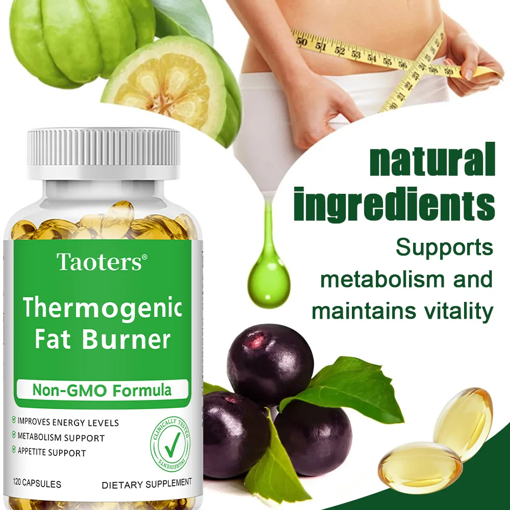 Green Tea Extract Fat - Groene thee-extract - met appelciderazijn, brandende