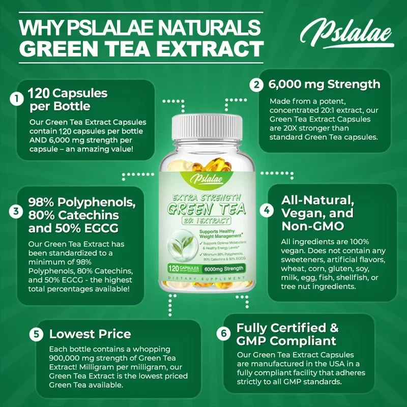 Green Tea Extract Fat - Groene thee-extractcapsules - Ondersteunt het energieniveau,