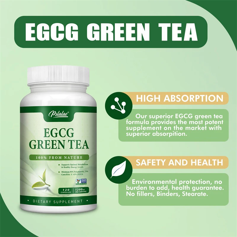 Green Tea Extract Fat - EGCG groene thee-extract - verhoogt het