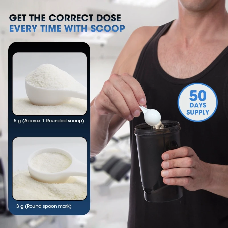 Kexinsh Creatine Monohydraat P - Creatine Monohydrate Powder recensie en prijs