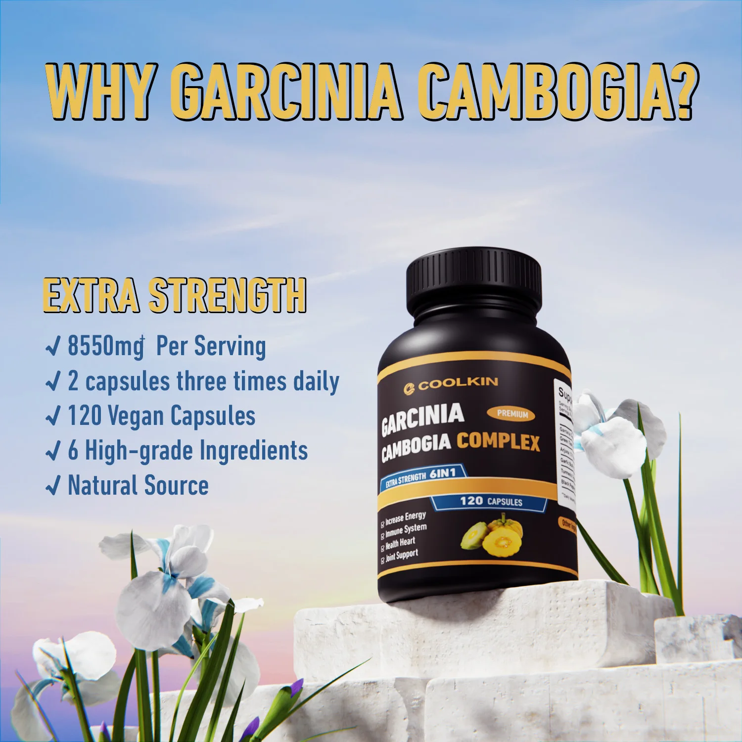 Garcinia Cambogia-Vetverbrande - Garcinia Cambogia Extract recensie en prijs