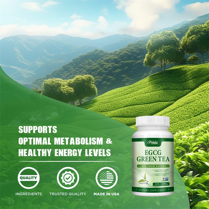 Egcg Groene Thee-Extract-Verho - Green Tea Extract Fat recensie en prijs