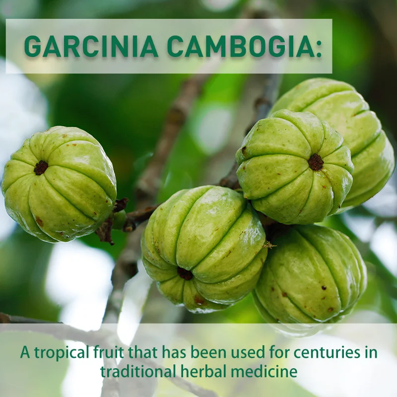 Garcinia Cambogia-capsules - V - Garcinia Cambogia Extract recensie en prijs