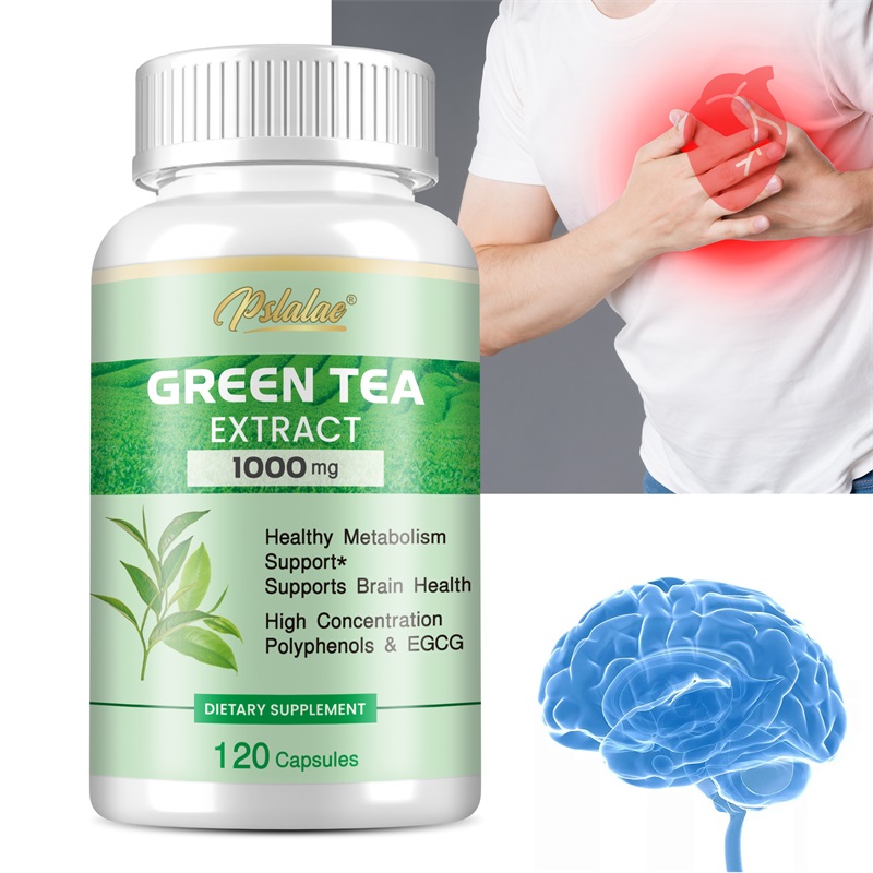 Groene thee-extract - met 98%  - Green Tea Extract Fat recensie en prijs