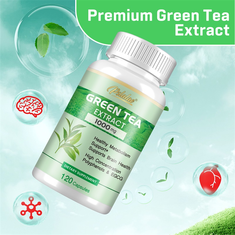 Groene thee-extract - met 98%  - Green Tea Extract Fat recensie en prijs