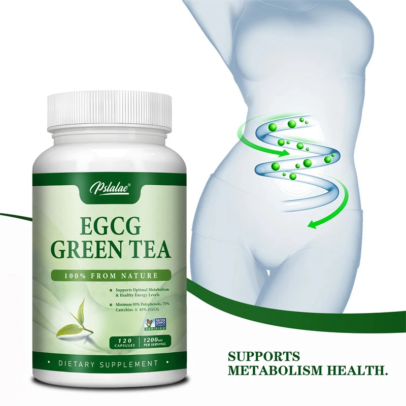 EGCG groene thee-extract - ver - Green Tea Extract Fat recensie en prijs